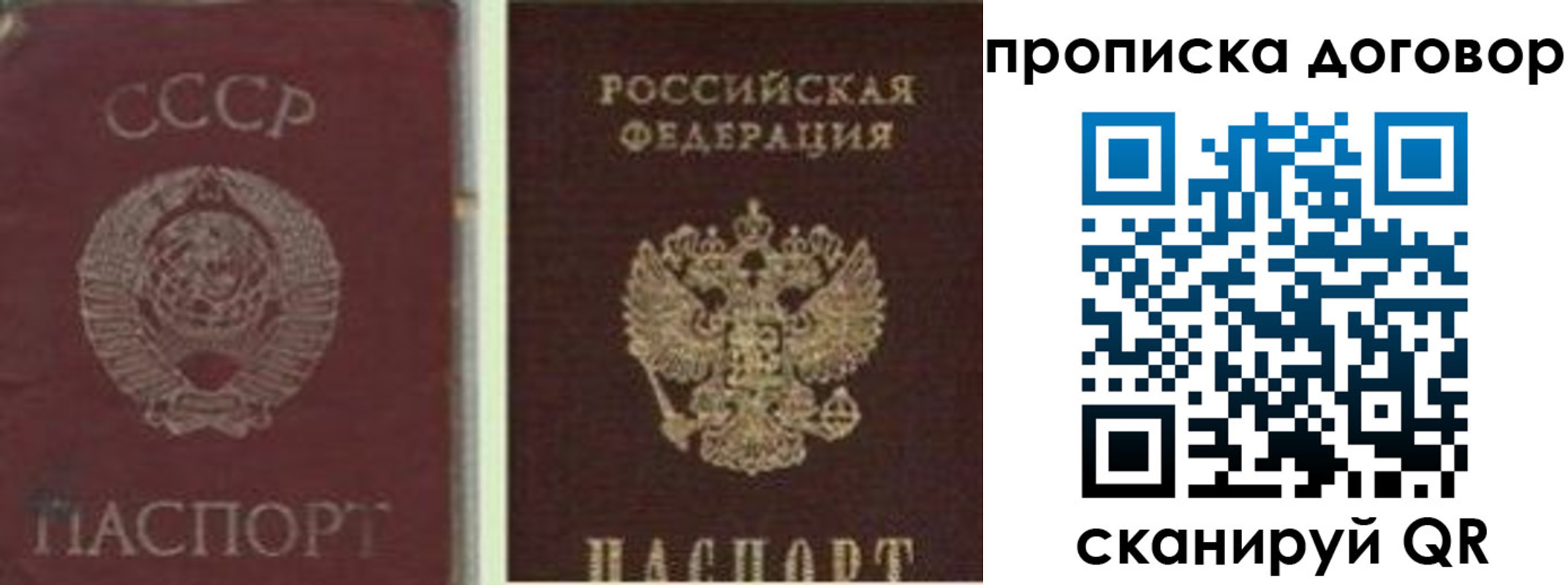 прописка гарантия в Омске